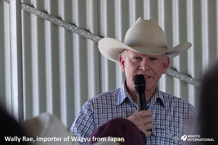 Photo of Wally Rea who exported foundation Wagyu from Japan